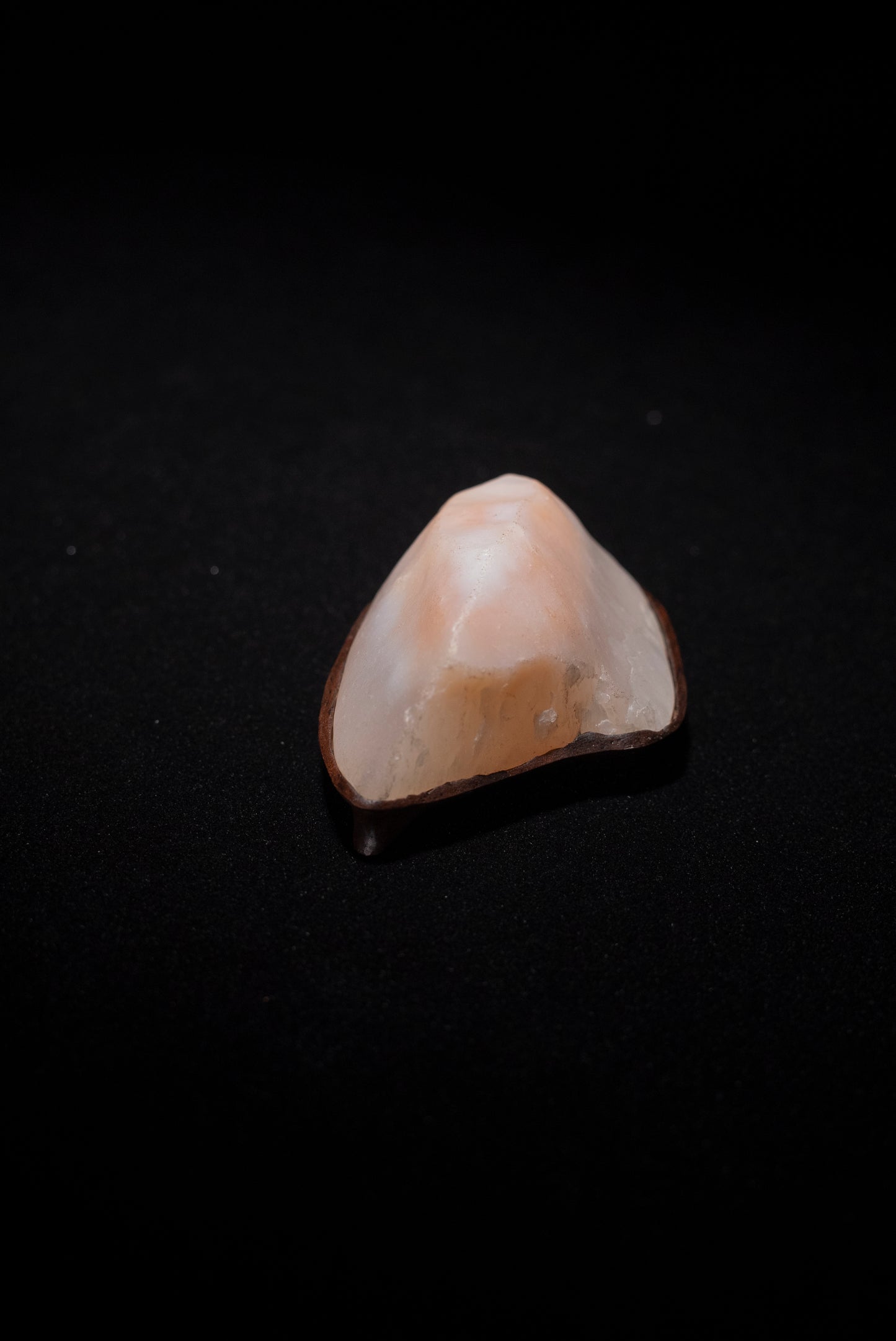 賞石擺件/戈壁石 Gebi Stones