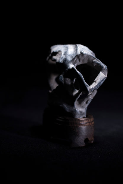 賞石擺件/貴州墨金石 Black Taihu Stone