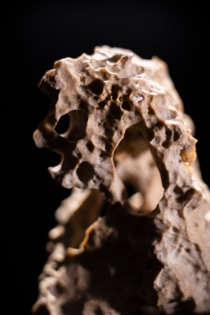 賞石擺件/湘西紫玲瓏 - 龍骨石 Xiangxi Taihu Stone