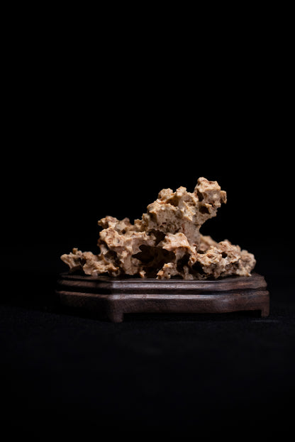賞石擺件/湘西紫玲瓏 - 黃金甲香爐 Golden Xiangxi Taihu Stone Incense Burner