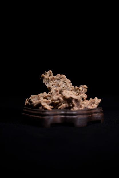 賞石擺件/湘西紫玲瓏 - 黃金甲香爐 Golden Xiangxi Taihu Stone Incense Burner