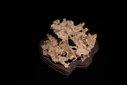 賞石擺件/湘西紫玲瓏 - 黃金甲香爐 Golden Xiangxi Taihu Stone Incense Burner