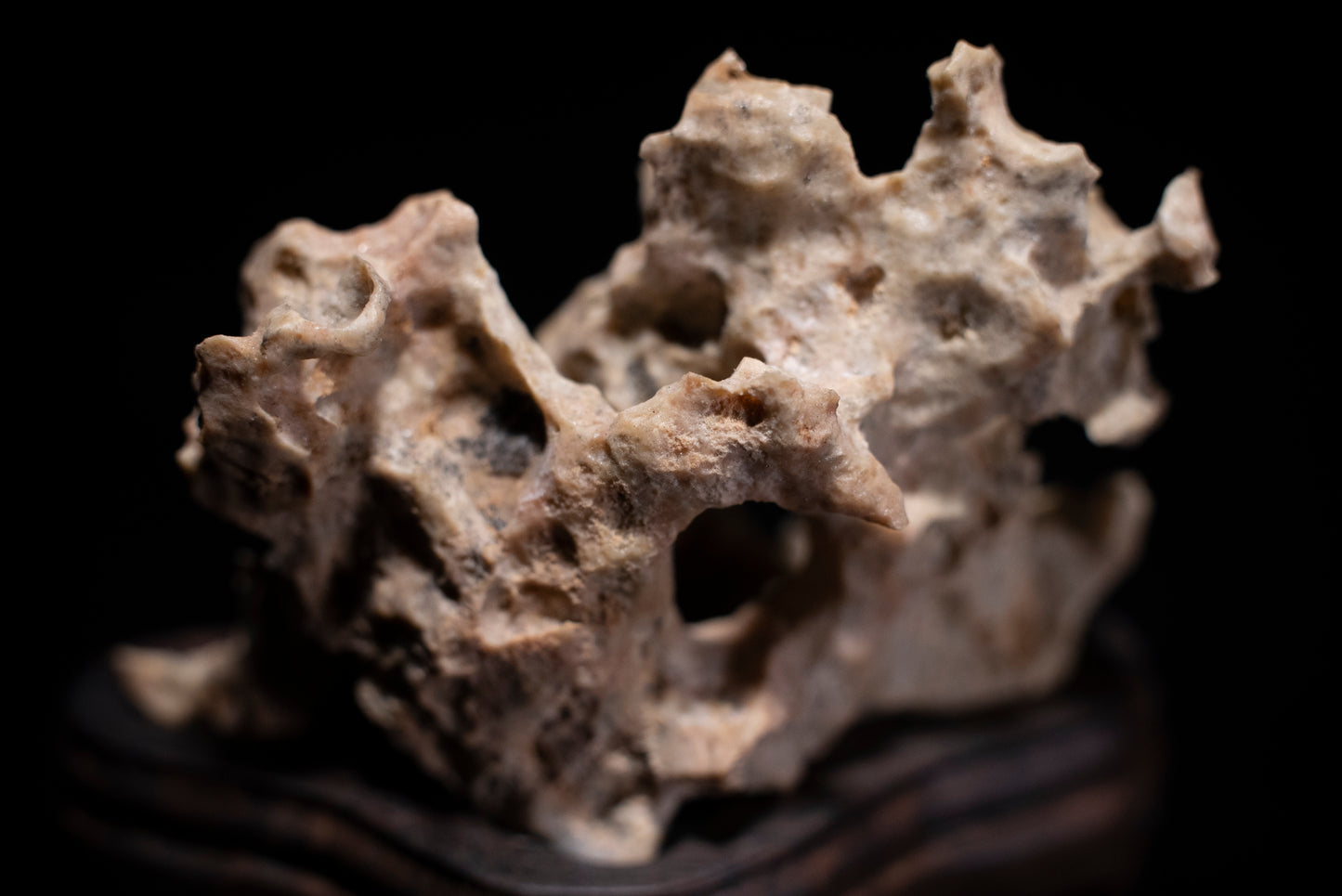 賞石擺件/湘西紫玲瓏 - 黃金甲香爐 Golden Xiangxi Taihu Stone Incense Burner