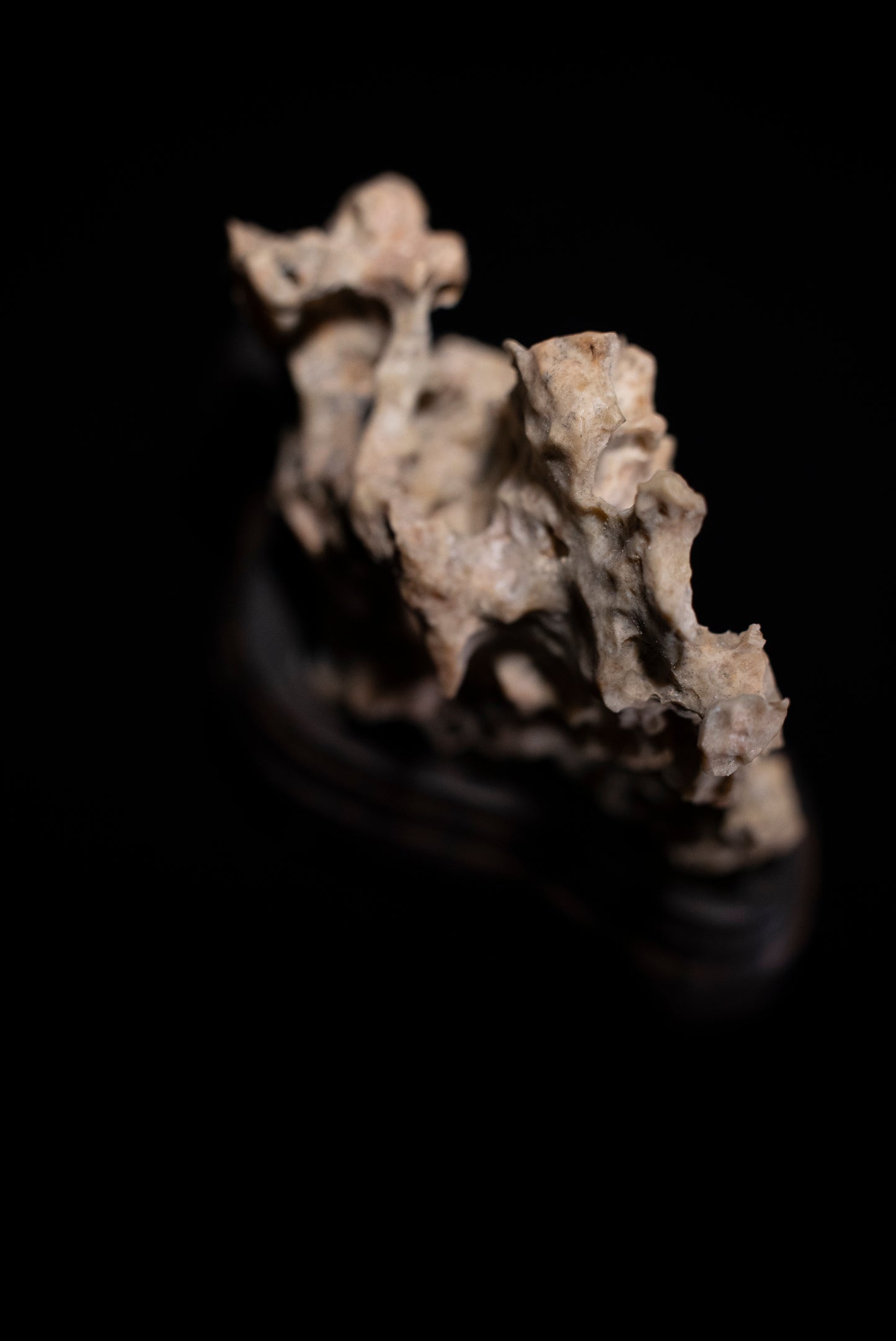 賞石擺件/湘西紫玲瓏 - 黃金甲香爐 Golden Xiangxi Taihu Stone Incense Burner
