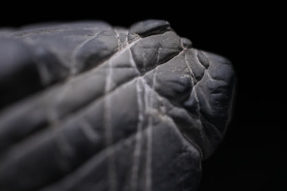 賞石擺件/靈璧石刀疤紋