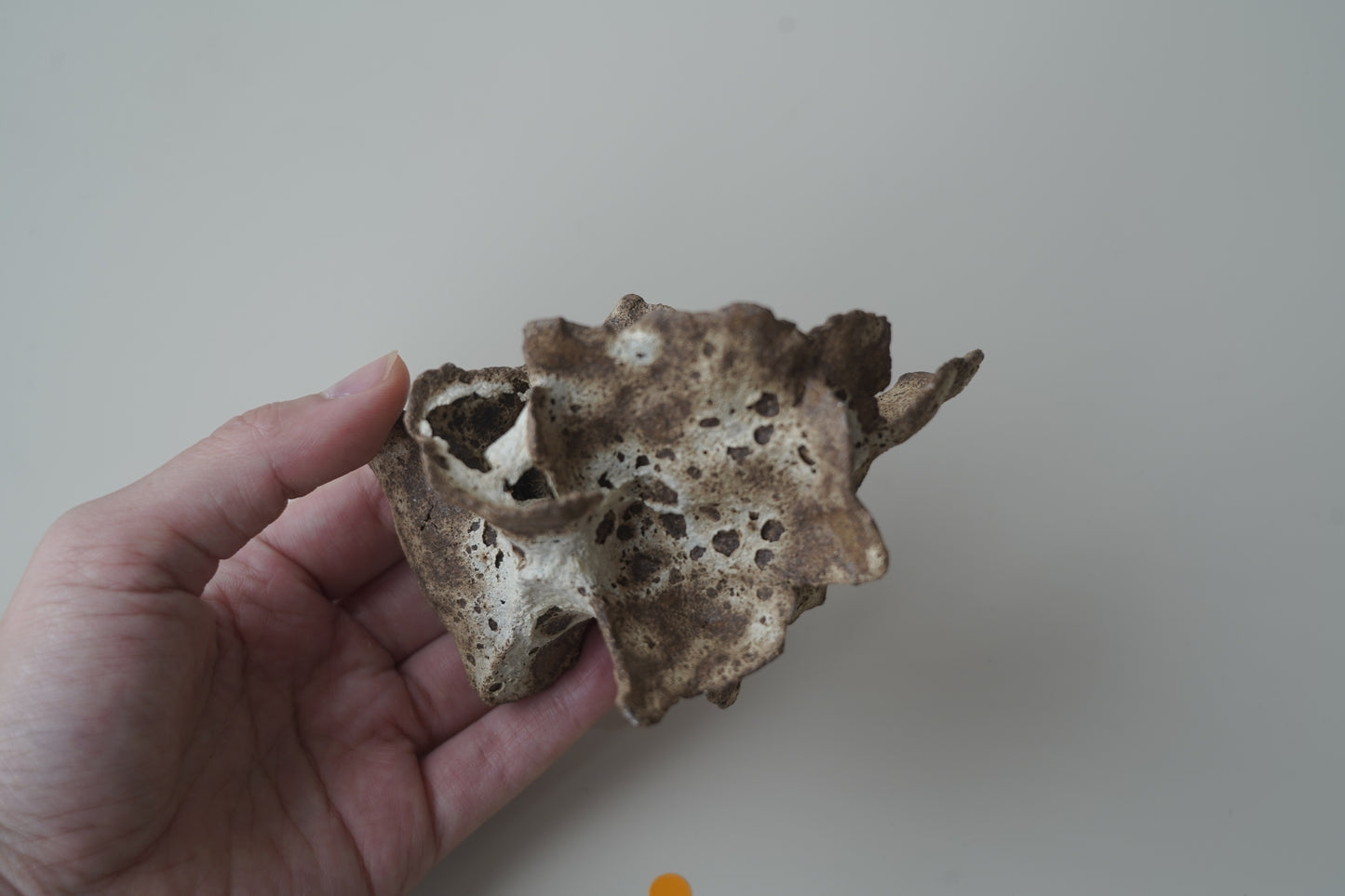 手捏木耳型裝飾物-立體花/白咖色