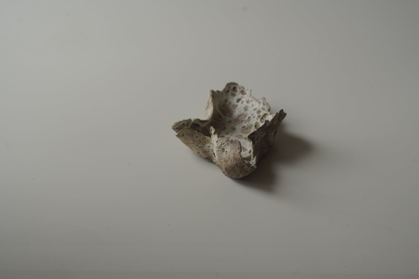葉型燭台/白咖色