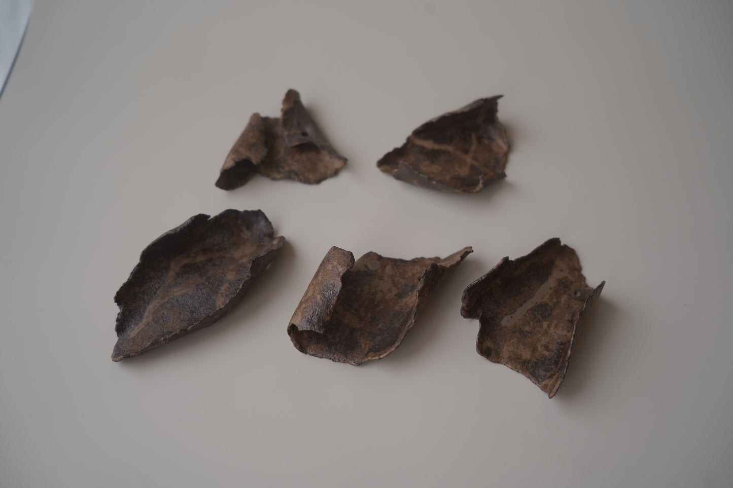 殘片臥香座/鐵鏽色