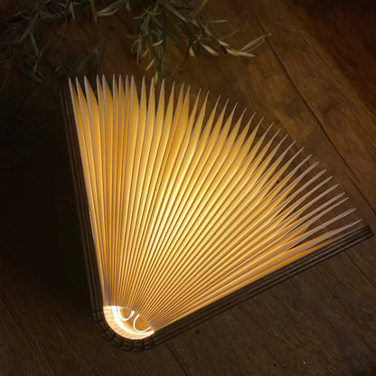 Nikko hill Book Lamp