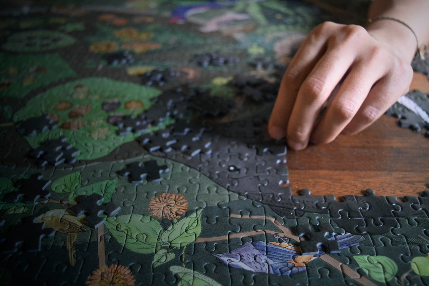 Forest Service Forest of Life Puzzle